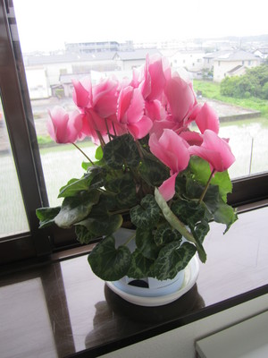 IMG_5255.JPG
