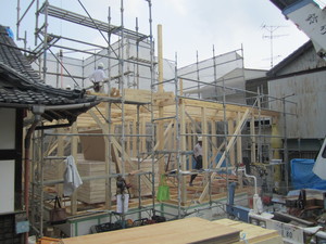 IMG_5505.JPG