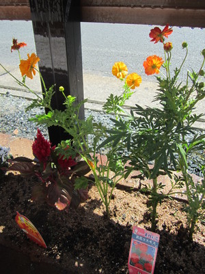 IMG_5710.JPG