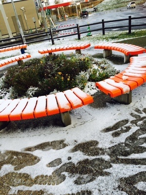 初雪.jpgのサムネイル画像