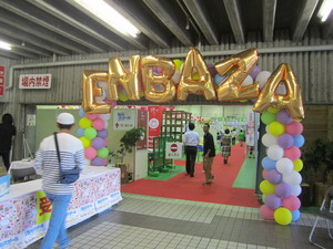 IMG_6041.JPG