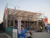 IMG_9392.JPG