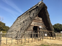 IMG_8688.JPG