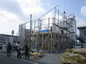 IMG_7224.JPG