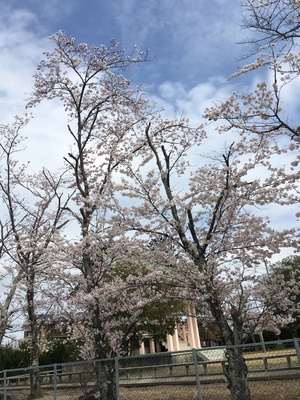 写真 2016-04-02 13 35 48.jpg
