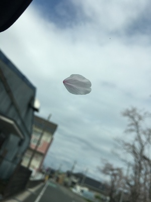 写真 2016-04-02 13 36 20.jpg