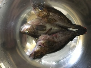 写真 2016-04-16 22 38 01.jpg