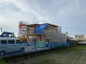 IMG_7530.JPG