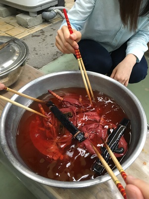 写真 2016-05-02 16 16 19.jpg