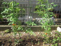 IMG_0567.JPG