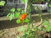 IMG_0568.JPG