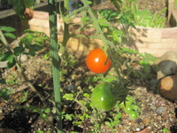 IMG_0569.JPG