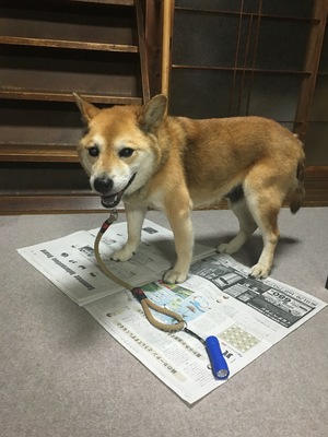 写真 2016-07-23 19 05 41.jpg