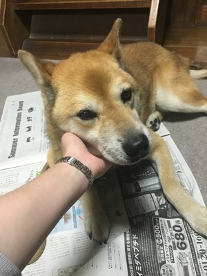 写真 2016-07-23 19 10 43.jpg