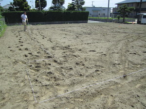 IMG_8464.JPG