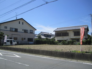 IMG_8471.JPG