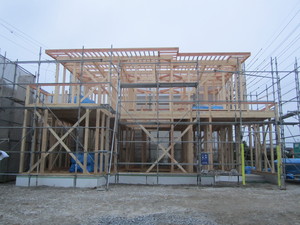IMG_8765.JPG