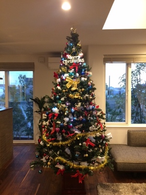 クリスマスツリー.JPG