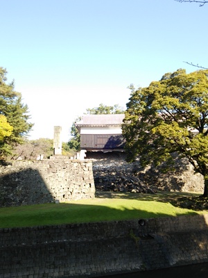 1114.JPG