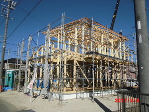 CIMG1384.JPG