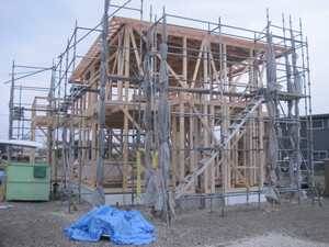IMG_2671.JPG