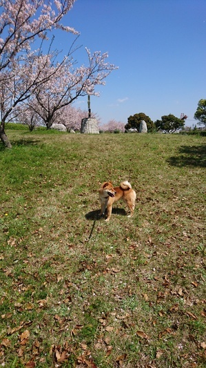DSC_0305.JPG