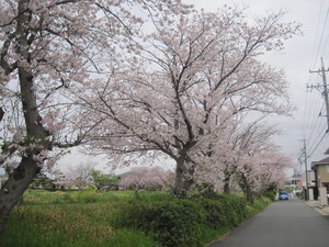 IMG_2859.JPG