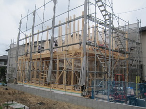 IMG_3926.JPG