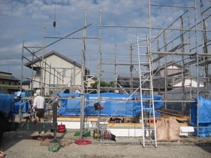 IMG_4226.JPG
