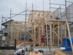 IMG_4240.JPG