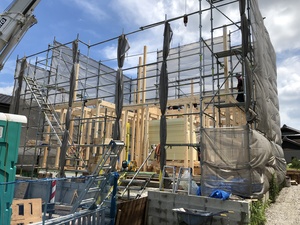 IMG_4884.JPG
