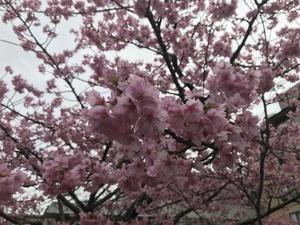 タカラ工場見学 (2).JPG