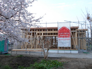 DSCN0945.JPG