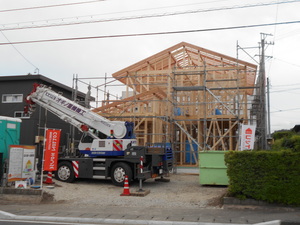 DSCN1139.JPG