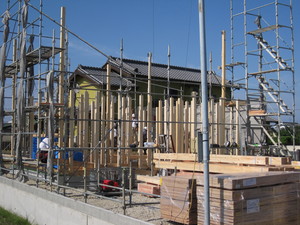 IMG_7422.JPG