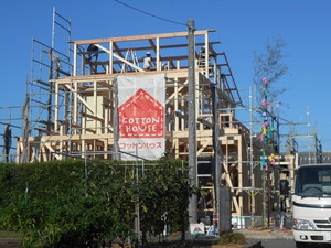 DSCN1959.JPG