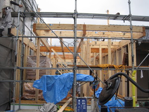 IMG_8192.JPG