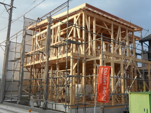 DSCN2305.JPG