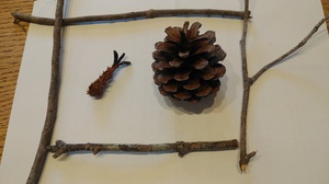 リス (2).jpg