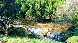 DSC_1195-EFFECTS.jpg