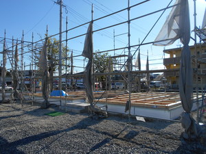 DSCN2854.JPG
