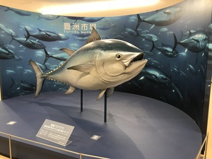 豊洲.JPG