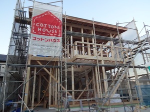 2019.1.19.JPG