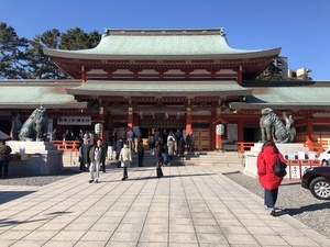 IMG_3533.JPG