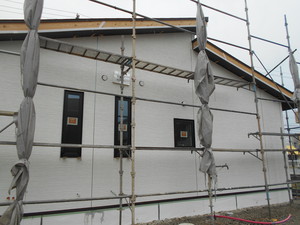 DSCN2993.JPG