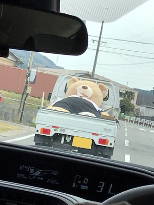 熊.jpg