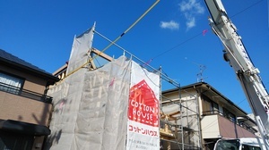 IMG_20190316_150932.jpg