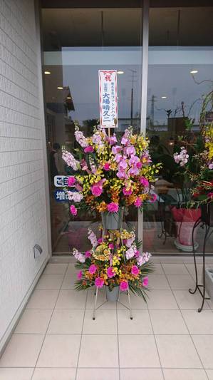 IMG_4025.JPG