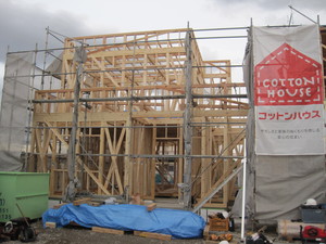 IMG_9926.JPG