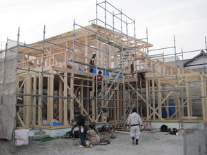 IMG_9946.JPG